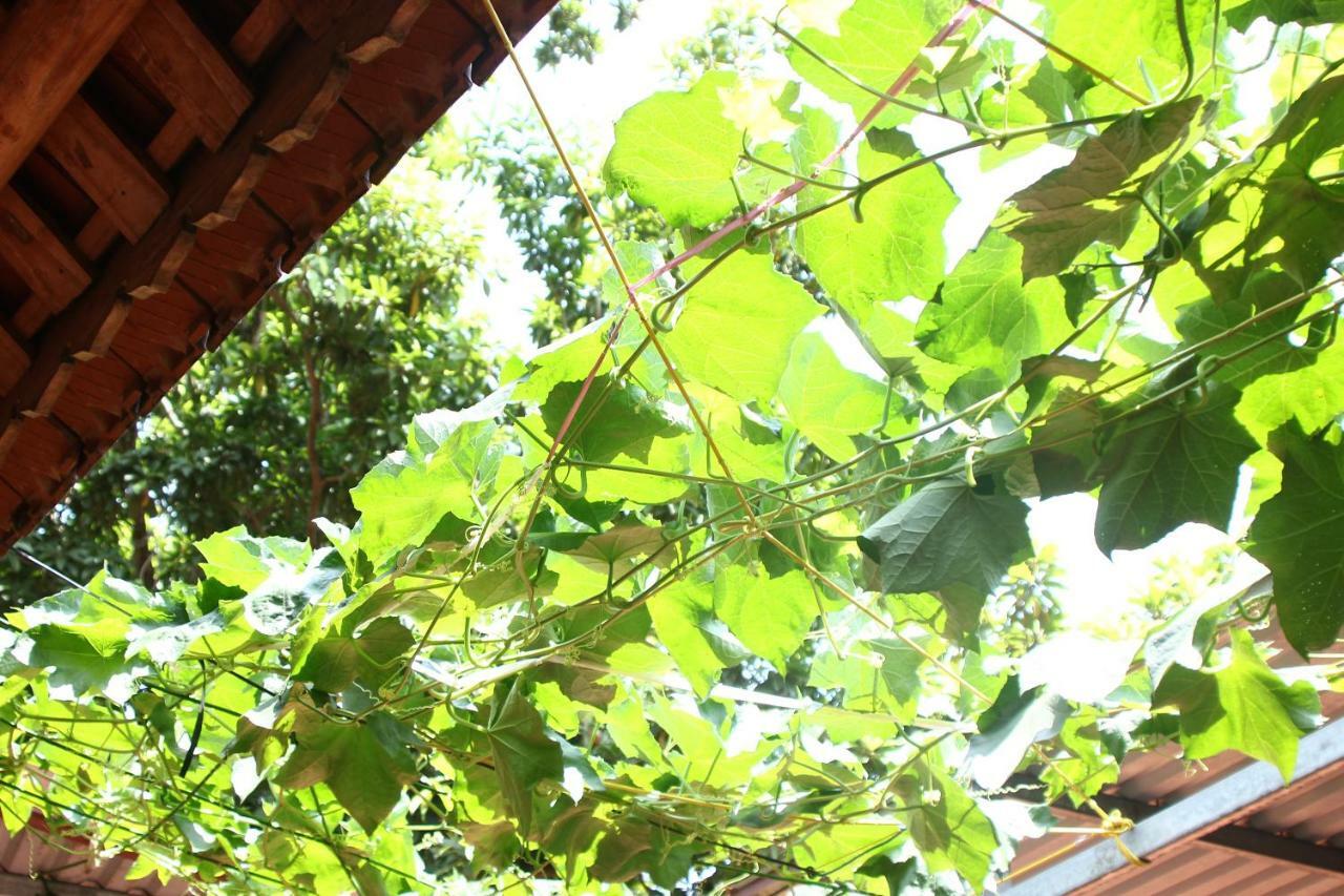 Chicken's house- Đường Lâm Homestay Hà Nội Ngoại thất bức ảnh